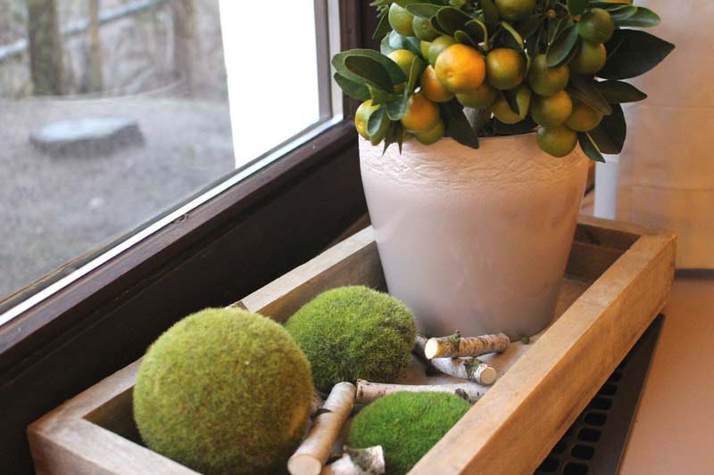 Innenaufnahme Restaurant Schönemanns